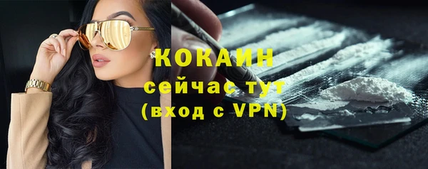 СК Алзамай