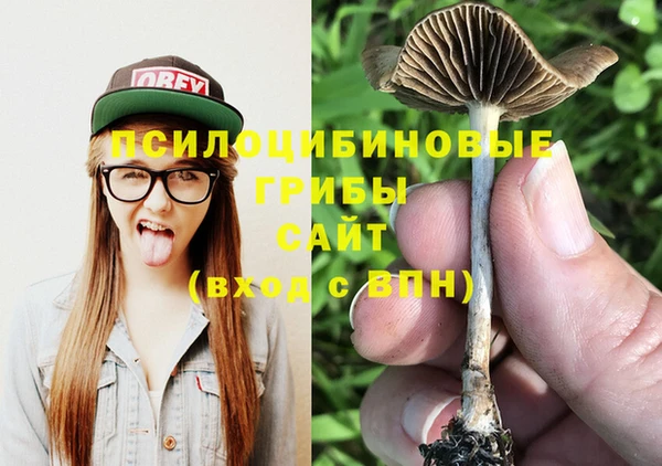 jwh Каменка