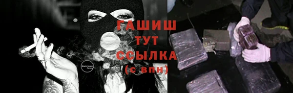 гашик Алексеевка