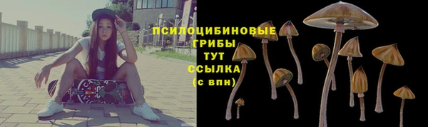 СК Алзамай