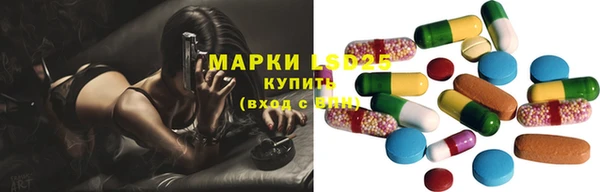 гашик Алексеевка