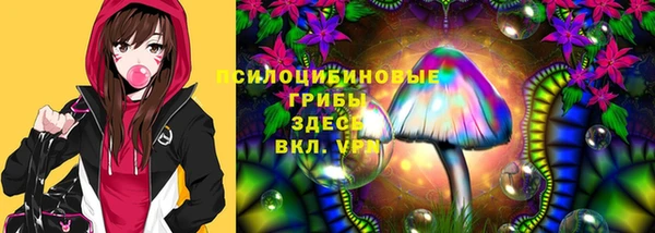 гашик Алексеевка