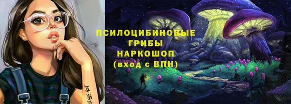 PSILOCYBIN Алексин