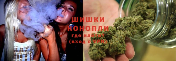 PSILOCYBIN Алексин